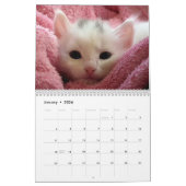 2026 Adorable Kittens Zwölf Monate Katze Kalender (Jan 2026)