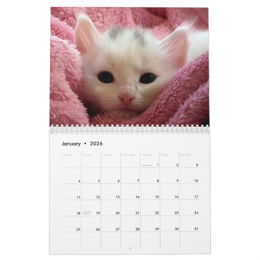 2026 Adorable Kittens Zwölf Monate Katze Kalender (Jan 2026)