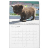 2026 Adorable Kittens Zwölf Monate Katze Kalender (Feb 2027)