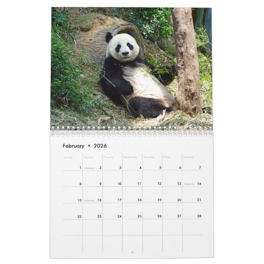 2026 Adorable Pandas Kalender (Feb 2026)