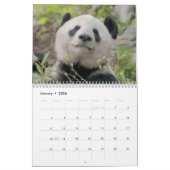 2026 Adorable Pandas Kalender (Jan 2026)