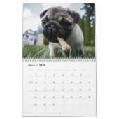 2026 Adorable Welpen Zwölf Monate Hund Kalender (Mär 2026)