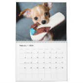2026 Adorable Welpen Zwölf Monate Hund Kalender (Feb 2026)