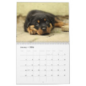 2026 Adorable Welpen Zwölf Monate Hund Kalender (Jan 2026)