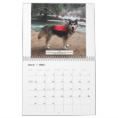 2026 Alaskan Malamute Club of America Calendar Kalender (Mär 2026)