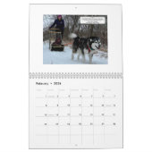 2026 Alaskan Malamute Club of America Calendar Kalender (Feb 2026)