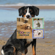 2026 alberner Katzenkalender