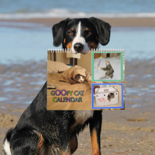 2026 alberner Katzenkalender Kalender