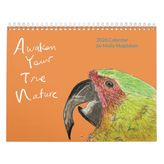 2026 Animal Art Calendar by Molly Magdalain Kalender (Titelbild)
