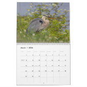 2026 Apoka Wildlife in Florida Kalender (Mär 2026)