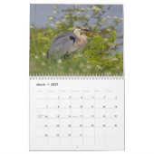 2026 Apoka Wildlife in Florida Kalender (Mär 2027)