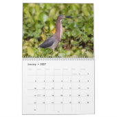 2026 Apoka Wildlife in Florida Kalender (Jan 2027)