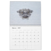 2026 Apoka Wildlife in Florida Kalender (Feb 2027)