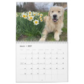 2026 Archie-Kender Kalender (Mär 2027)