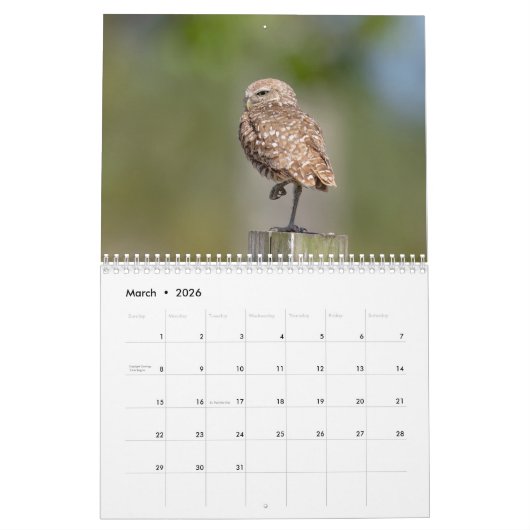 2026 Ausbrüche von Florida Kalender (Mär 2026)