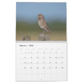 2026 Ausbrüche von Florida Kalender (Feb 2026)