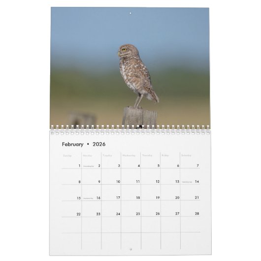 2026 Ausbrüche von Florida Kalender (Feb 2026)