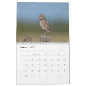 2026 Ausbrüche von Florida Kalender (Feb 2027)