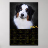 2026 Australian Shepherd Calendar Poster (Vorne)