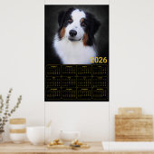 2026 Australian Shepherd Kalender Poster (Küche)