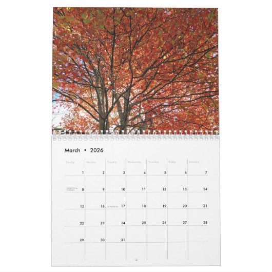 2026 Autumn Vibes All Year Long Kalender (Mär 2026)