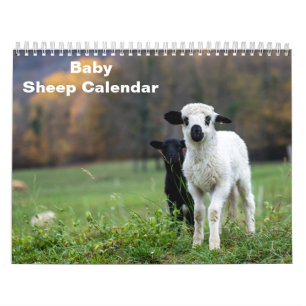 2026 Baby-Schaf Lamm Kalender
