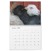 2026 Baby-Schaf Lamm Kalender (Jan 2027)
