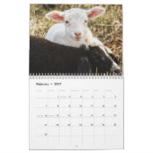 2026 Baby-Schaf Lamm Kalender (Feb 2027)