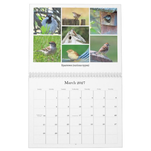 2026 Backyard Birding Calendar Kalender (Mär 2027)