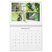 2026 Backyard Birding Calendar Kalender (Feb 2027)