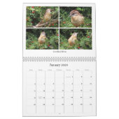 2026 Backyard Birding Calendar Kalender (Jan 2026)