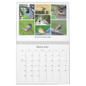 2026 Backyard Birding Calendar Kalender (Mär 2026)