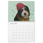 2026 Bernedoodle-Fotokalender Kalender (Jan 2027)