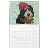 2026 Bernedoodle-Fotokalender Kalender (Jan 2027)