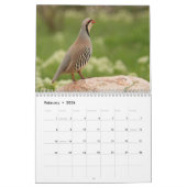 2026 Bird Calendar Kalender (Feb 2026)