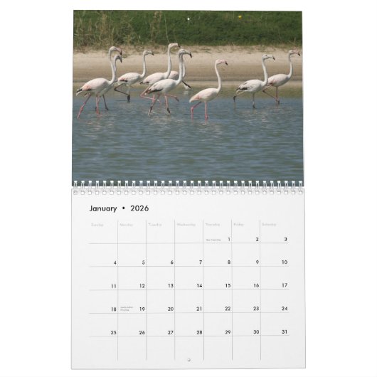 2026 Bird Calendar Kalender (Jan 2026)