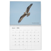 2026 Birds of the North: Great Lakes Calendar Kalender (Mär 2026)