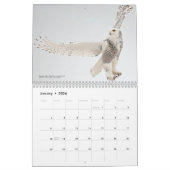 2026 Birds of the North: Great Lakes Calendar Kalender (Jan 2026)