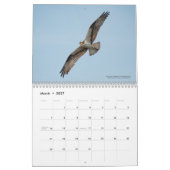2026 Birds of the North: Great Lakes Calendar Kalender (Mär 2027)
