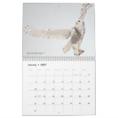 2026 Birds of the North: Great Lakes Calendar Kalender (Jan 2027)