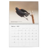 2026 Birds of the North: Great Lakes Calendar Kalender (Feb 2027)