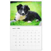2026 Border Collie Sheep Dog Mom Owner Lover Gift Kalender (Mär 2026)