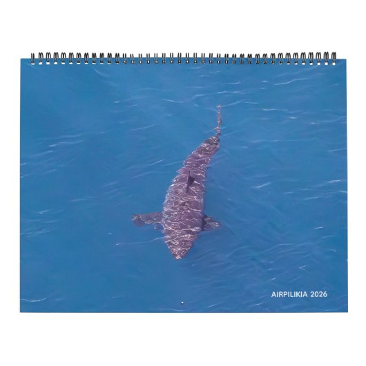 2026 Calendar Airpilikia Kalender (Titelbild)