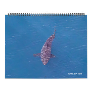 2026 Calendar Airpilikia Kalender