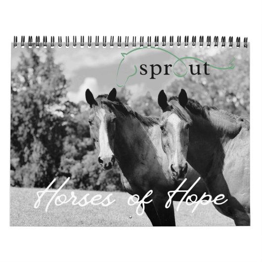 2026 Calendar Kalender (Titelbild)