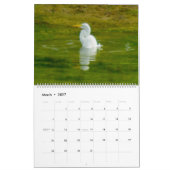 2026 CALENDAR:THE ART OF BATHING by A.GRATE EGRET Kalender (Mär 2027)
