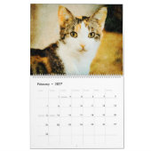 2026 Calico Tortoiseshell Cat Owners Lovers Gift Kalender (Feb 2027)