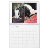 2026 Cat Calendar Kalender (Mär 2026)