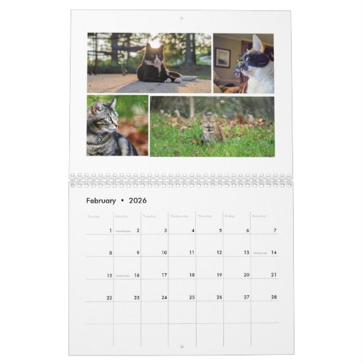 2026 Cat Calendar Kalender (Feb 2026)