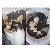 2026 Cat Calendar Kalender (Titelbild)